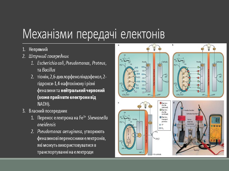 Механізми передачі електонів Непрямий Штучний посередник Escherichia coli, Pseudomonas, Proteus, та Bacillus  
